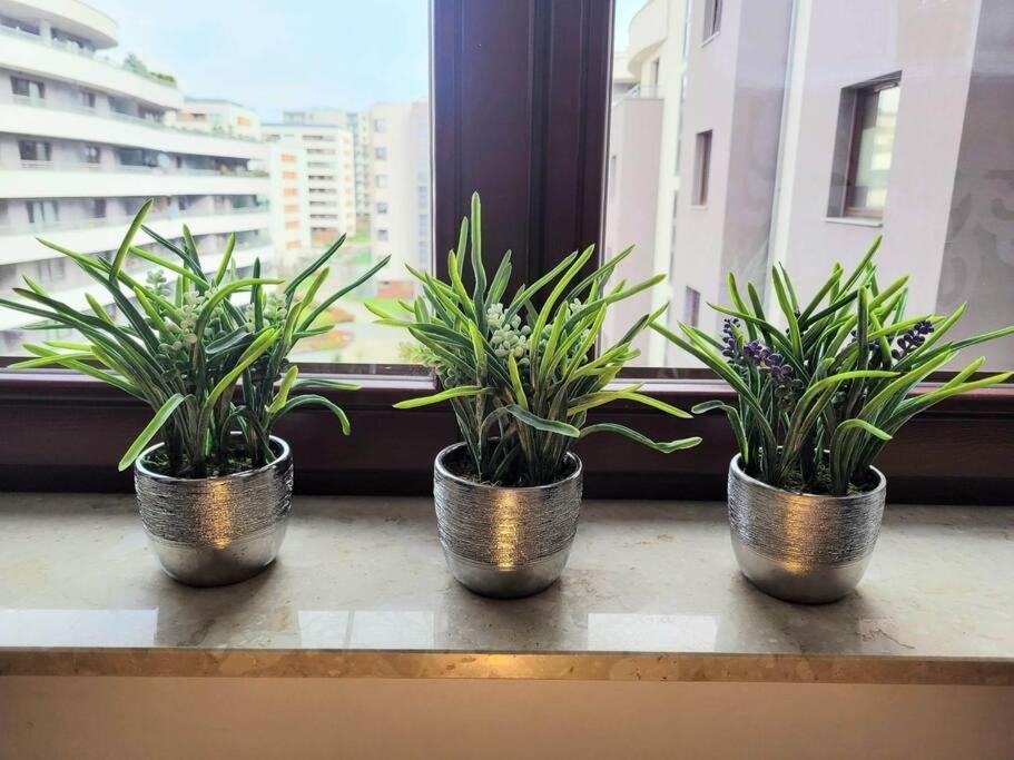 Apartment Sophie 3 Rooms, 2 Bathrooms, 8 Persons Краків Екстер'єр фото